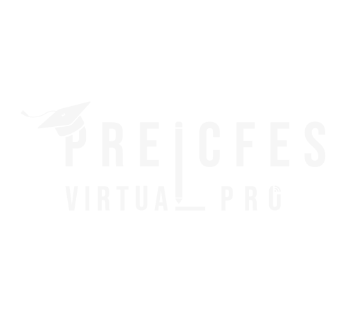 virtualpro